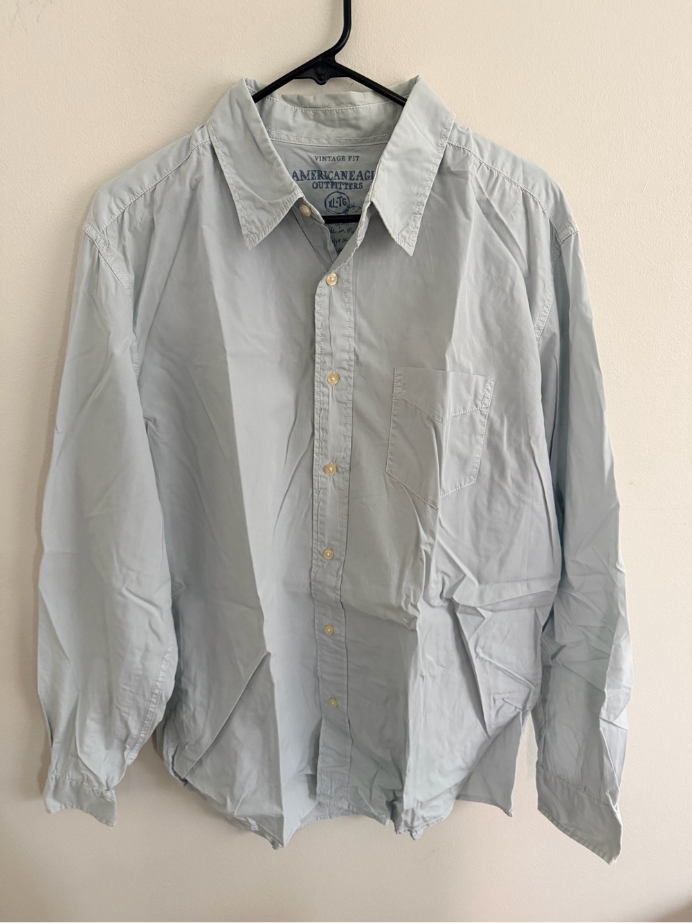 American Eagle Outfitters Pale Blue Long-Sleeve Button-Down Shirt